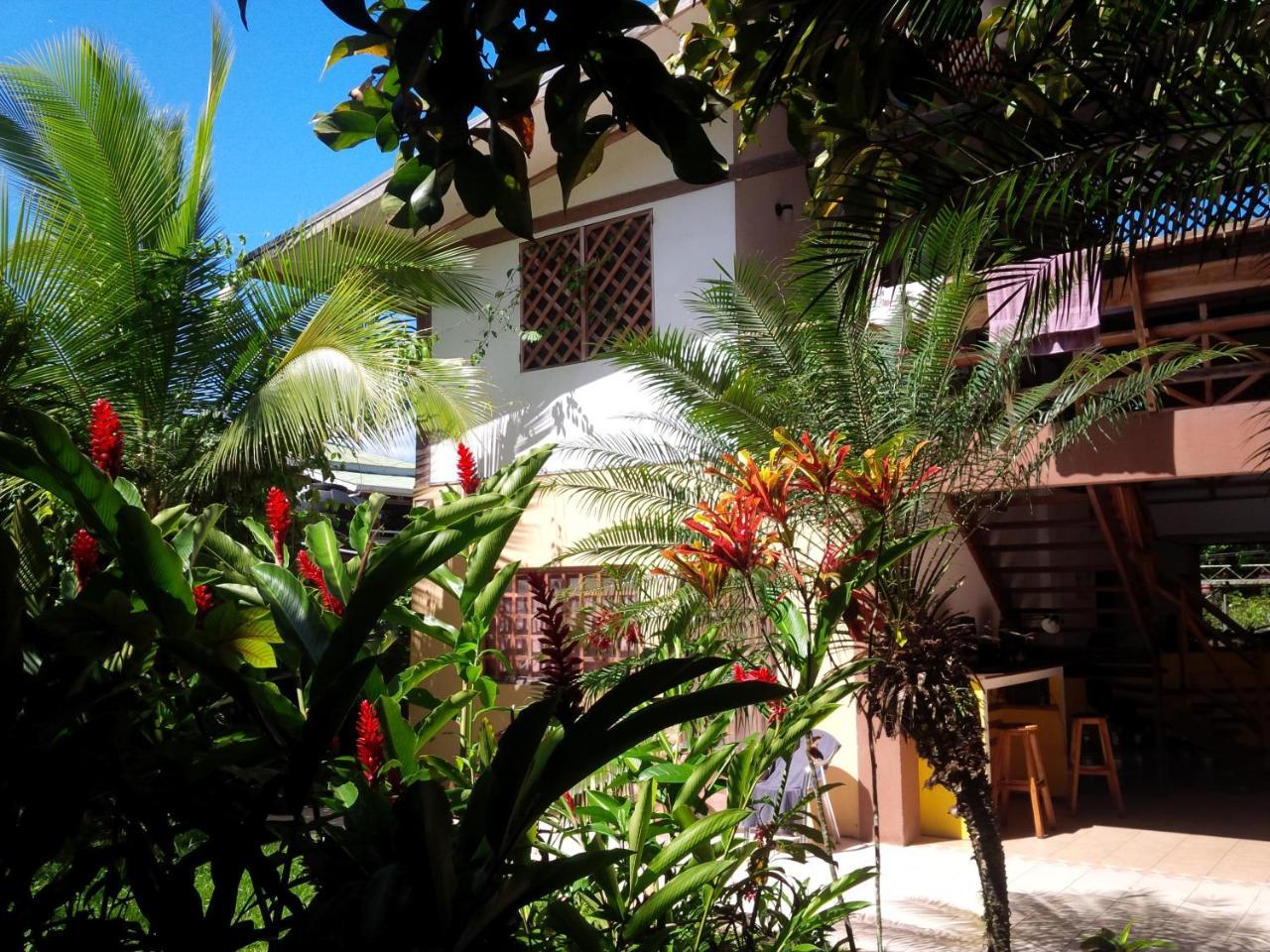 Pagalu Hostel Puerto Viejo de Talamanca ภายนอก รูปภาพ